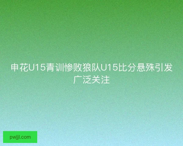 申花U15青训惨败狼队U15比分悬殊引发广泛关注