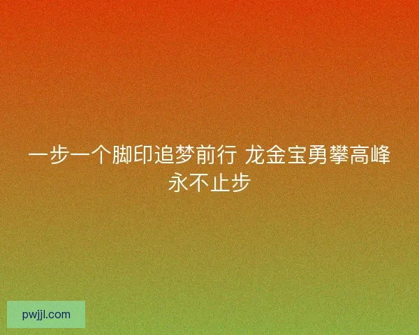 一步一个脚印追梦前行 龙金宝勇攀高峰永不止步 一步一个脚印追梦前行 龙金宝勇攀高峰永不止步