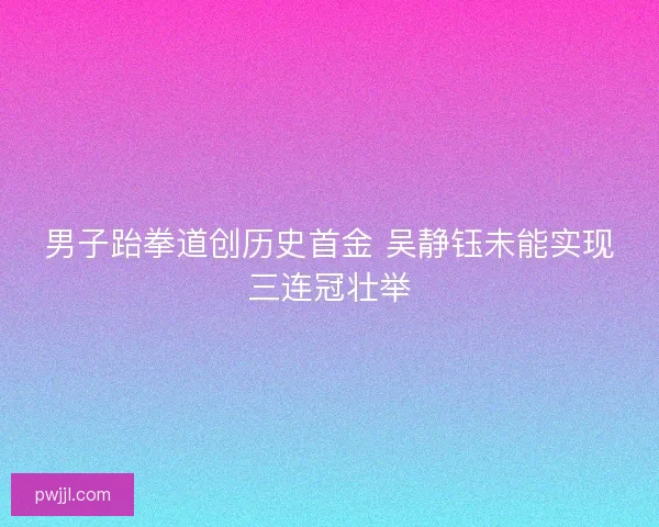 男子跆拳道创历史首金 吴静钰未能实现三连冠壮举 男子跆拳道创历史首金 吴静钰未能实现三连冠壮举