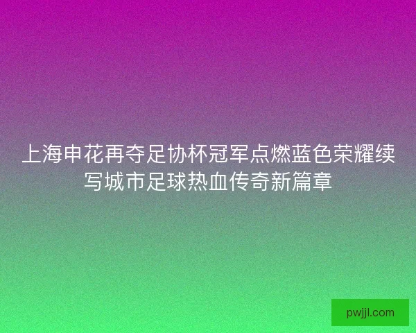 上海申花再夺足协杯冠军点燃蓝色荣耀续写城市足球热血传奇新篇章