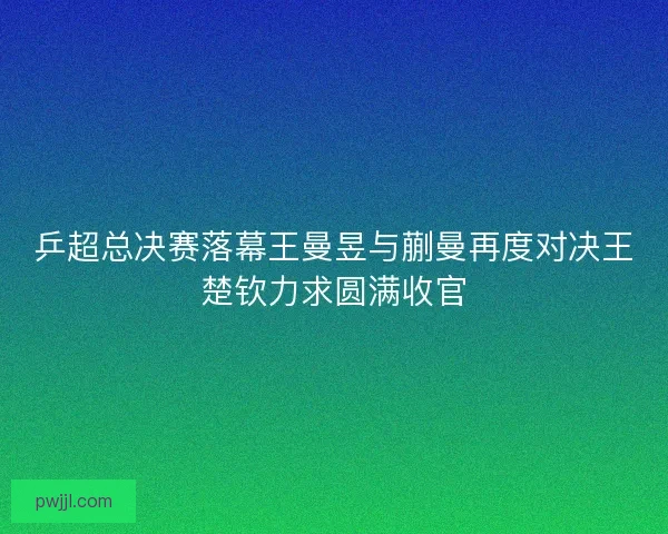 乒超总决赛落幕王曼昱与蒯曼再度对决王楚钦力求圆满收官